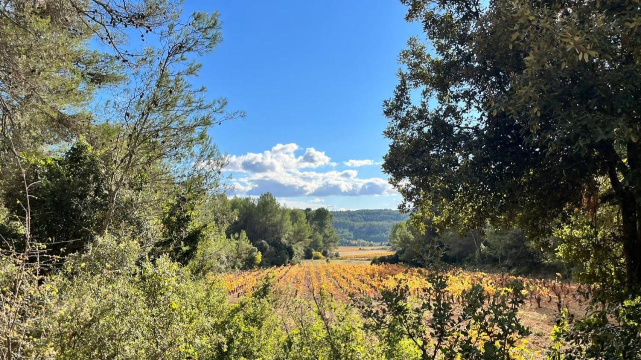 Le Chalet Saint-Jean-de-Minervois Bagian luar foto